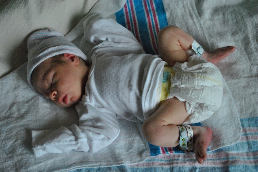 He was once this tiny?!  It is insane how fast they grow... And how I have been able to plump him up! lol