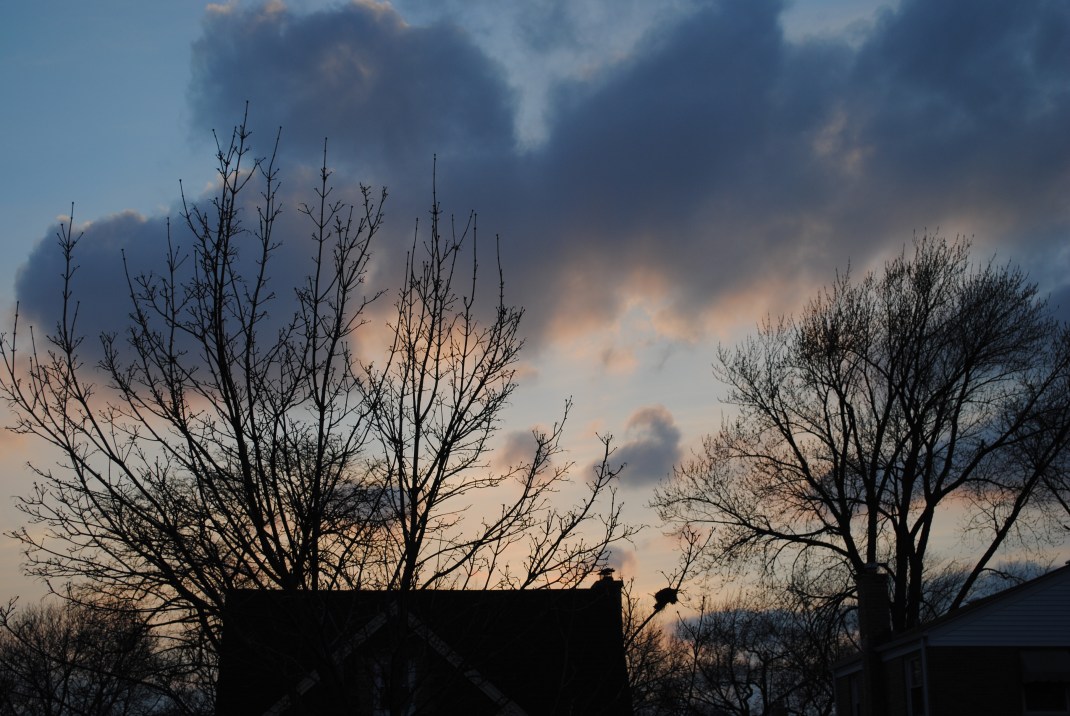DSC_0232