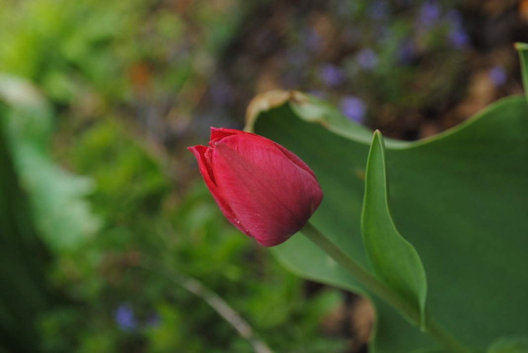 DSC_0449