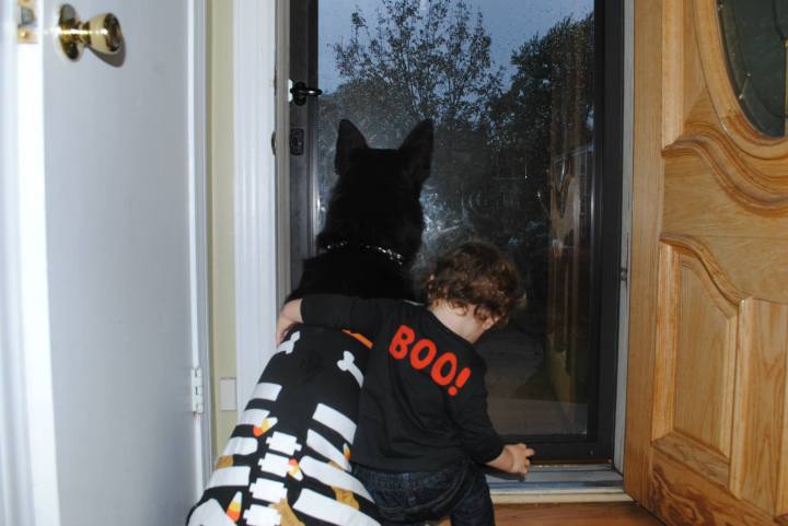 1415462_542981550722_1716105142_o