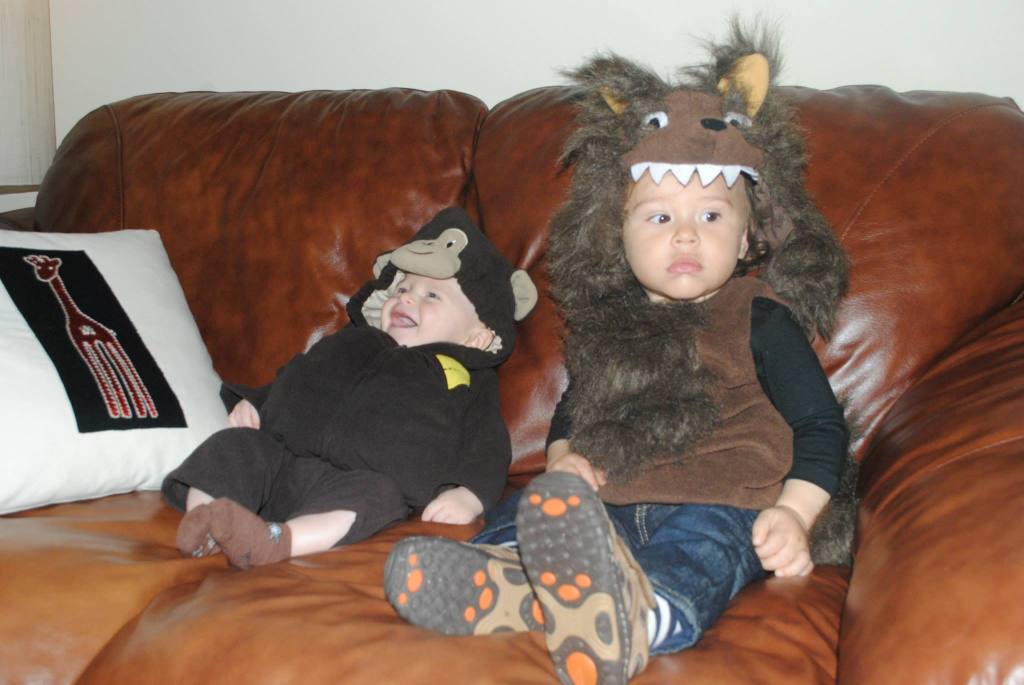 856857_542981855112_1140881000_o