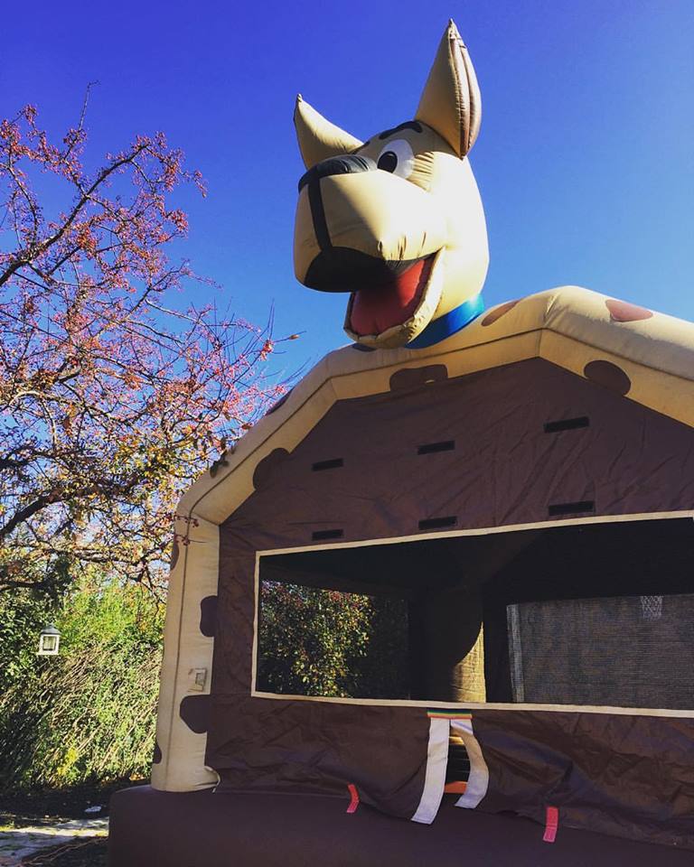 12189992_586817927272_7561645186774649539_n