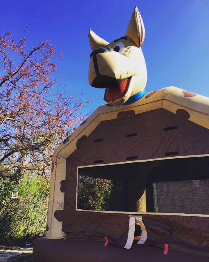 12189992_586817927272_7561645186774649539_n