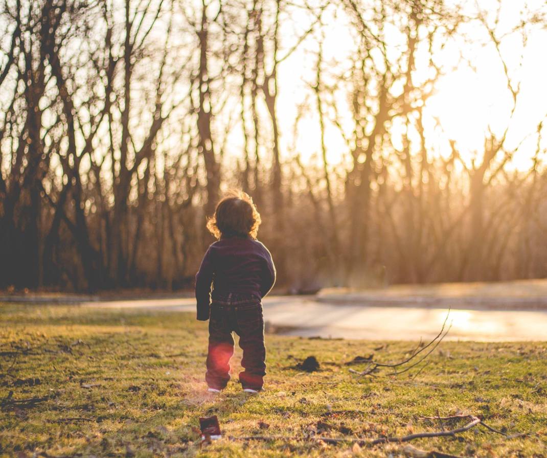 12771668_590533291652_1688721183054711158_o